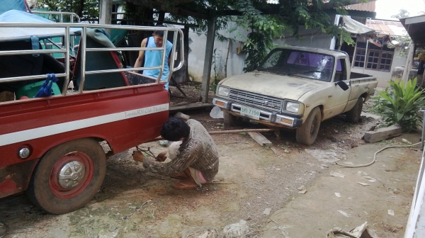 ม้าย่อง :ของคุณ ต่อศักดิ์ ฝากขาย 49000 บาท