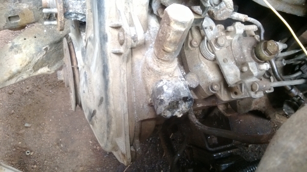 ม้าย่อง :ของคุณ ต่อศักดิ์ ฝากขาย 49000 บาท