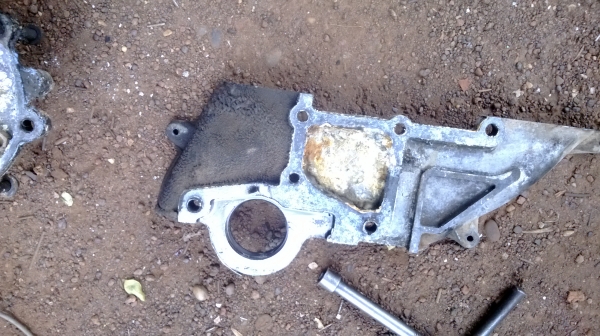 ม้าย่อง :ของคุณ ต่อศักดิ์ ฝากขาย 49000 บาท