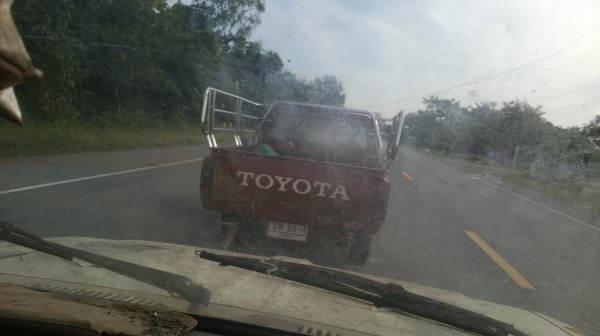 ม้าย่อง :ของคุณ ต่อศักดิ์ ฝากขาย 49000 บาท