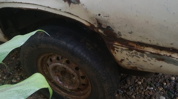 ม้าย่อง :ของคุณ ต่อศักดิ์ ฝากขาย 49000 บาท