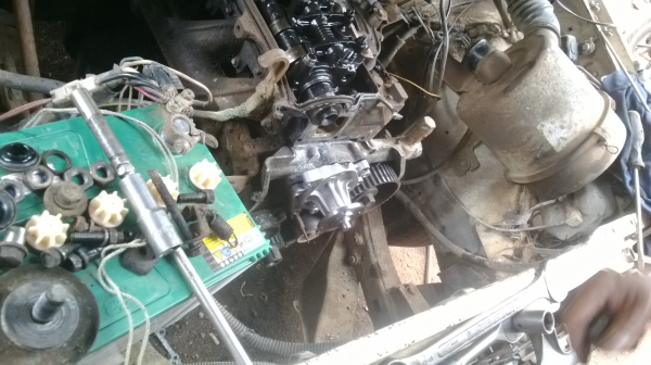 ม้าย่อง :ของคุณ ต่อศักดิ์ ฝากขาย 49000 บาท