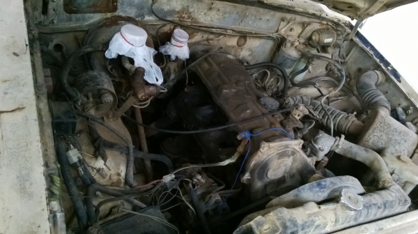 ม้าย่อง :ของคุณ ต่อศักดิ์ ฝากขาย 49000 บาท