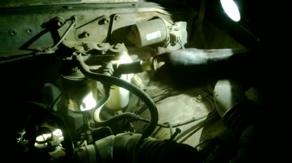 ม้าย่อง :ของคุณ ต่อศักดิ์ ฝากขาย 49000 บาท