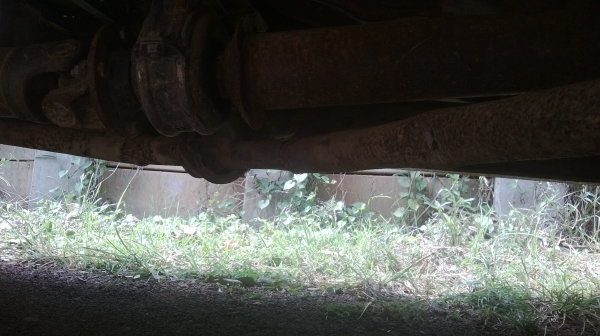 ม้าย่อง :ของคุณ ต่อศักดิ์ ฝากขาย 49000 บาท