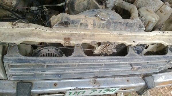 ม้าย่อง :ของคุณ ต่อศักดิ์ ฝากขาย 49000 บาท