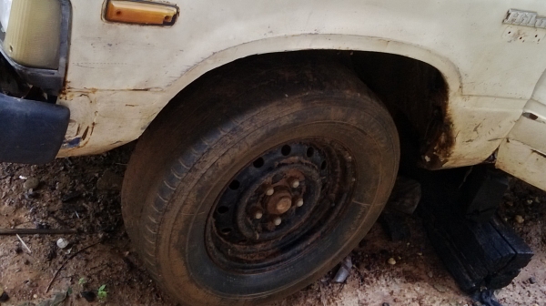 ม้าย่อง :ของคุณ ต่อศักดิ์ ฝากขาย 49000 บาท