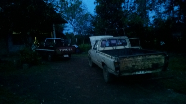 ม้าย่อง :ของคุณ ต่อศักดิ์ ฝากขาย 49000 บาท