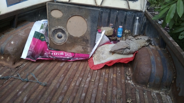 ม้าย่อง :ของคุณ ต่อศักดิ์ ฝากขาย 49000 บาท