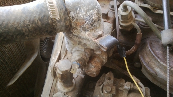 ม้าย่อง :ของคุณ ต่อศักดิ์ ฝากขาย 49000 บาท