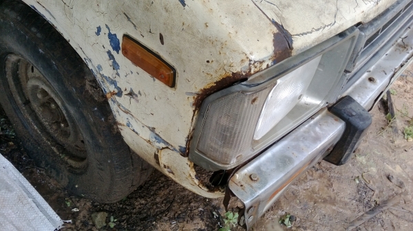 ม้าย่อง :ของคุณ ต่อศักดิ์ ฝากขาย 49000 บาท