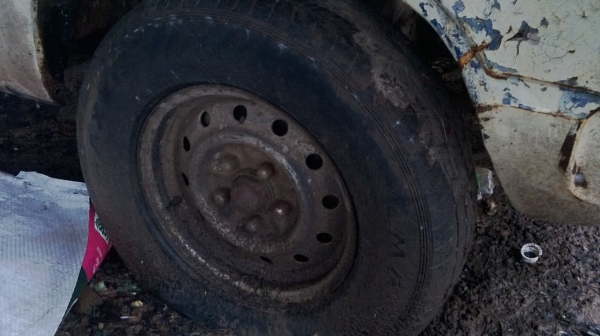 ม้าย่อง :ของคุณ ต่อศักดิ์ ฝากขาย 49000 บาท