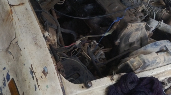 ม้าย่อง :ของคุณ ต่อศักดิ์ ฝากขาย 49000 บาท