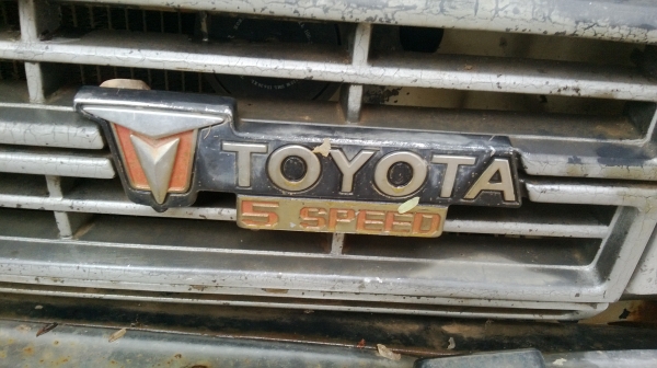 ม้าย่อง :ของคุณ ต่อศักดิ์ ฝากขาย 49000 บาท