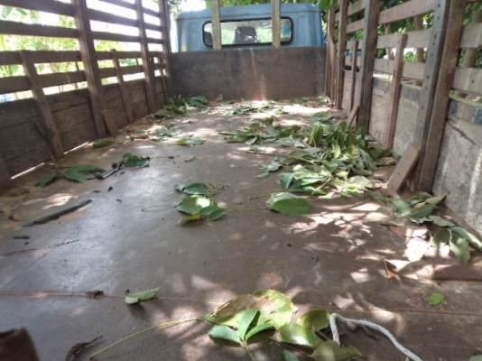 ขายรถ6ล้อมิตซูเครื่องอีซูซุ115แรง Fหน้าFหลัง พร้อมใช้