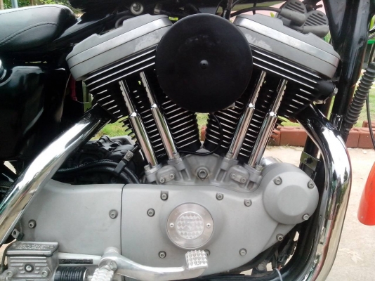 ขายSPORTSTER 1200 ปี 2003 ฉลอง 100ปีแต่ง nightster ขายSPORTSTER 1200 ปี 2003 ฉลอง 100ปีแต่ง nightster