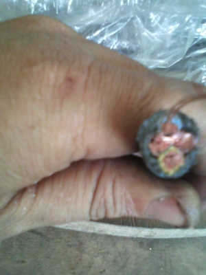 กิโลกรัมละ 195 บาท สายไฟใหม่นำเข้าจากเยรมัน หลากหลายเป็นแบบสายทองแดงอ่อน มีตั้งแต่เล็กไปจนถึงใหญ่ๆ