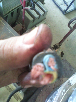 กิโลกรัมละ 195 บาท สายไฟใหม่นำเข้าจากเยรมัน หลากหลายเป็นแบบสายทองแดงอ่อน มีตั้งแต่เล็กไปจนถึงใหญ่ๆ