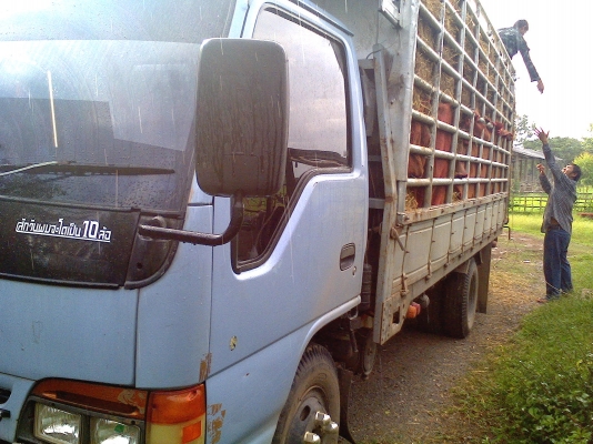 ISUZU NPR ปี 40 ฝาขาว ยาว 5เมตร เครื่อง 120 รถห้างแท้เดิม