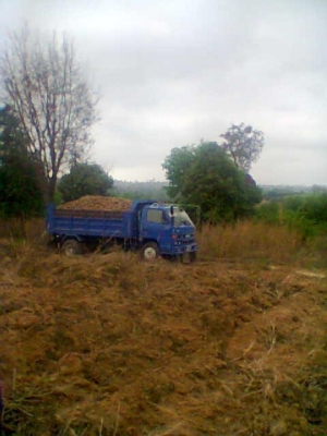 รถสวยราคาถูก isuzu 115 รถห้างแท้(ตัวแรก) มีเล่ม พร้อมประกันชั้น 3  รถจอดไว้ไม่มีเวลาขับ(เพราะบวชครับ)  โทรสอบถามคุยราคาได้ (ของมันคุยกันได้นิ..)โทรเลยครับ 0901857495 ตลอด 24 ชม.