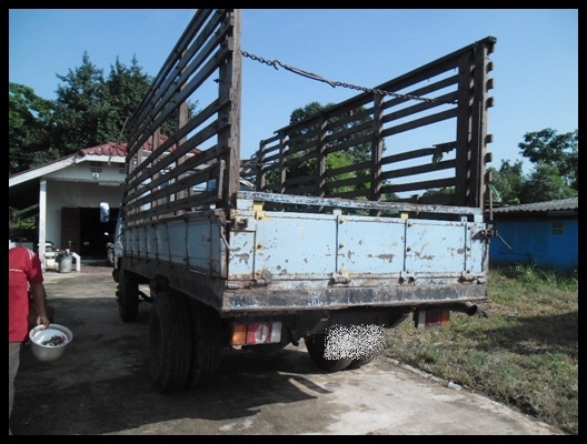 6 ล้อแคนเตอร์ 115 F หน้า-หลัง