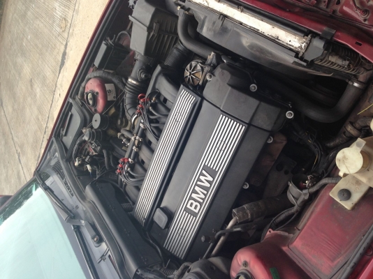 ขาย E34 Big Noes Y96 มือเดียวออกป้ายแดง ขาย E34 Big Noes Y96 มือเดียวออกป้ายแดง