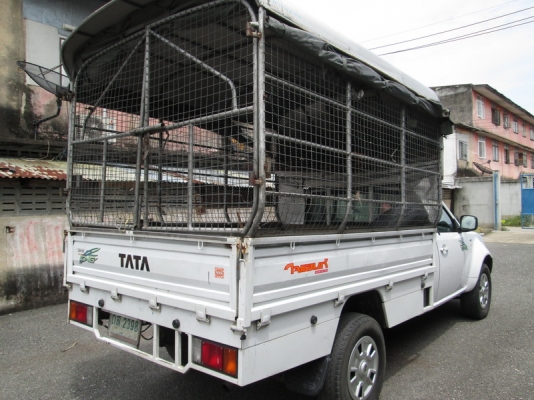 ขาย Tata Xenon Giant CNG ปี10. ขาย Tata Xenon Giant CNG ปี10.