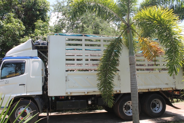 ขายHino Maga FL 220 กระบะสามมิต ยาว6.2เมตร สถาพสวยมาก