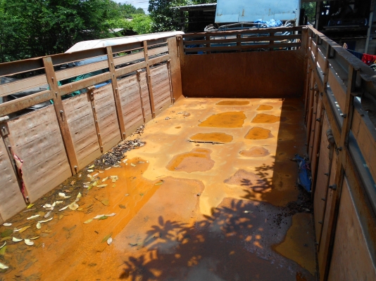 hino fm3h แม่ลูก