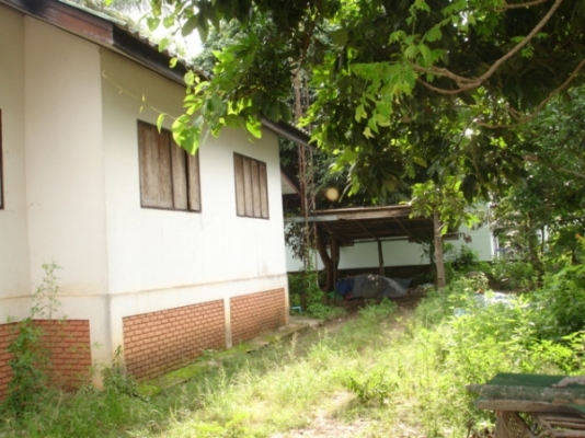 ขายที่ดินพร้อมบ้านติดถนนสี่เลนส์ ขายที่ดินพร้อมบ้านติดถนนสี่เลนส์