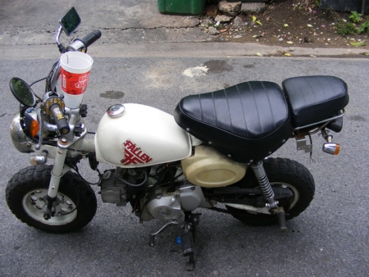 ขออนุญาติขายมังกี้จีนราคาถูก ขออนุญาติขายมังกี้จีนราคาถูก