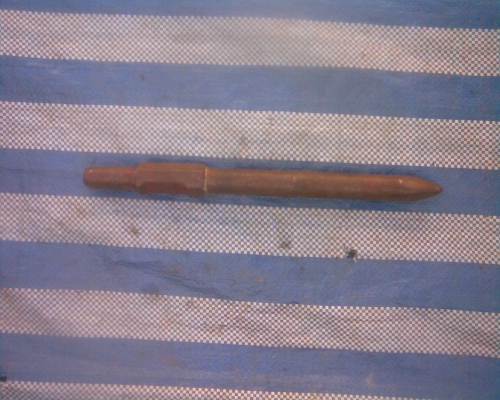 ดอกแย๊กตัวใหญ่