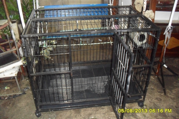 ขายกรงหมา