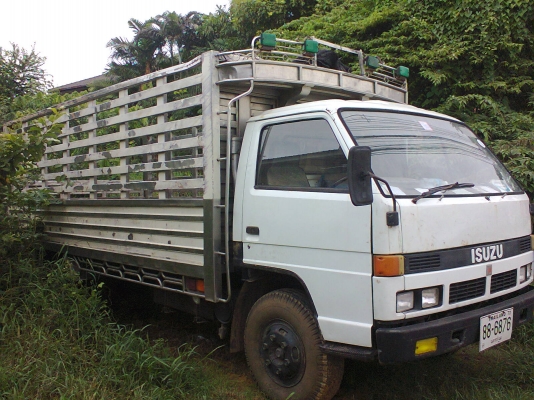 (ขายรถไม่รวมกระบะ) NPR59PU5M-710xxx ห้างแท้ยาว 5 เมตร วางเครื่อง 120 ฝาขาว power รถสวยพร้อมใช้ครับ