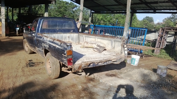 ม้าย่อง พร้อมใช้