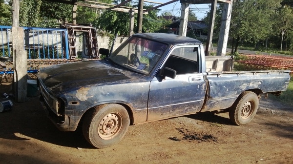 ม้าย่อง พร้อมใช้