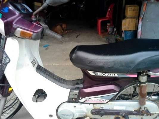 ดรีม คุรุสภา เดิมเครื่อฟิต เครื่องไม่เคยทำ