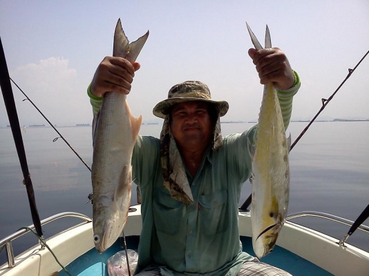 ขายเครื่องเรือ 3.5 แรง ไฮฟองของจีนแดง