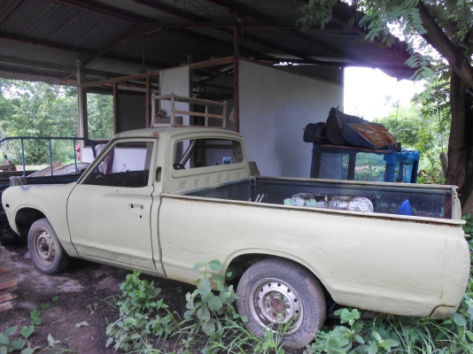 ขายช้าง 620 ขายช้าง 620