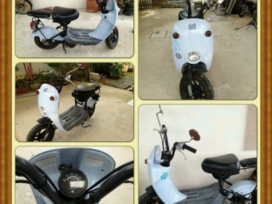 ขาย โชิโนริ ยุ่นๆน่ารักฝุดๆ เครื่องดีมว๊ากกก ขี่จ่ายตลาดดีกว่าเดิ