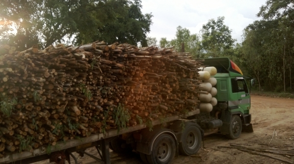 ขายดาวน์หัวลากngv ขายดาวน์หัวลากngv