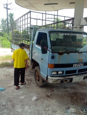 Isuzu NPR58L เครื่อง 110 มัดจำแล้ว 10000 จากเสี่ยพงศักดิ์ อุบล ขอบคุณที่ให้การอุดหนุนครับ