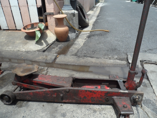 ตะเข้ครับ3300