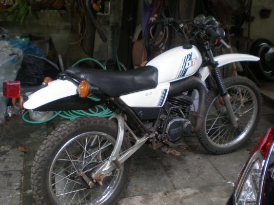 ขาย DT100 ขาย DT100