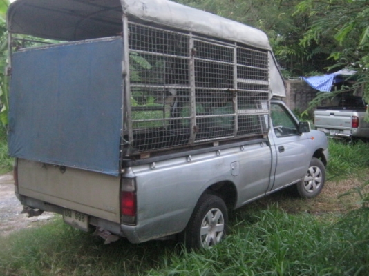 ขายครับ นิสัน ฟอร์นเทีย ปี 02