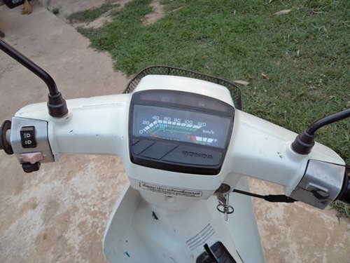 ขายดรีมตูดเป็ด สีขาว