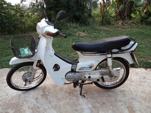 ขายดรีมตูดเป็ด สีขาว
