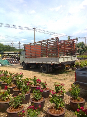 ขายรถบรรทุกหกล้อฮีโน่ FB 113 ทกอย่างพร้อมใช้งาน