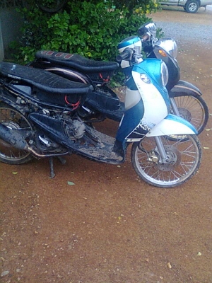 ฟีโน่สองคันราคาเบา ๆ(จองแล้ว)