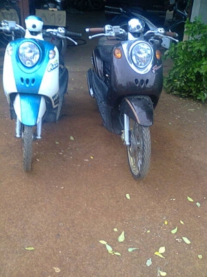 ฟีโน่สองคันราคาเบา ๆ(จองแล้ว)